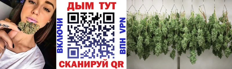 Наркошоп купить АМФ  Мефедрон  ГАШИШ  Галлюциногенные грибы  A PVP  Тольятти