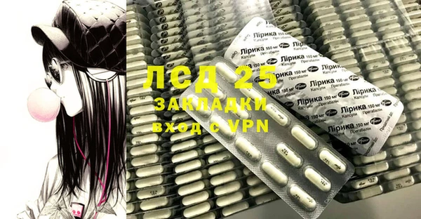 прущие грибы Наволоки