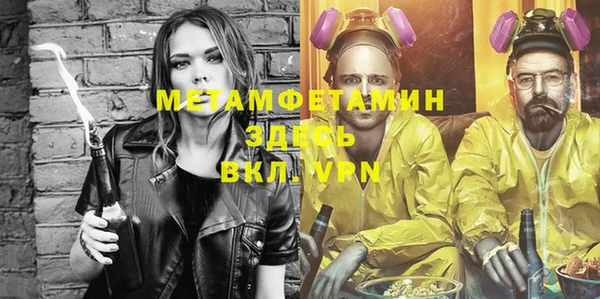 прущие грибы Наволоки