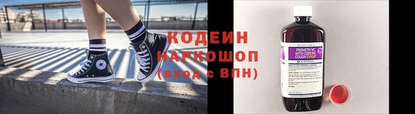прущие грибы Наволоки