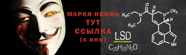 прущие грибы Наволоки