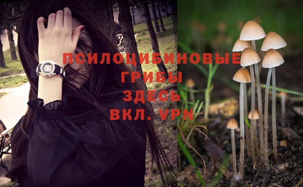 хмурый Навашино