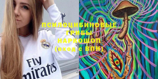 стафф Нефтекумск